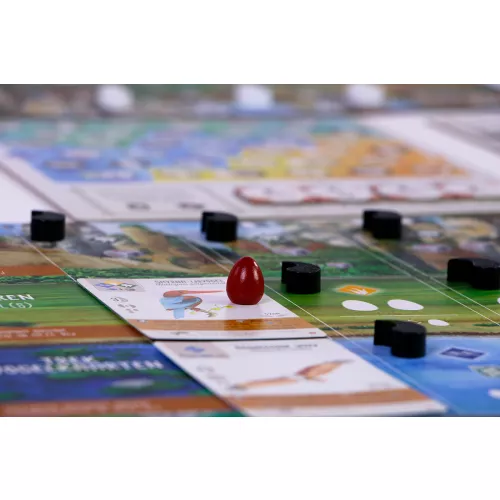 999 Games Wingspan Uitbreiding: Azie NL - Image 4